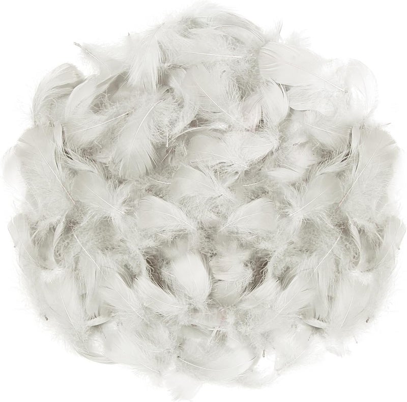 Lamar Feather 300pcs Grey Feathers 2-3 Inches Bulk Feathers for Crafting, Dream Catcher Accessories, Art Projects, DIY Crafting, Handi Crafts, Party Decoration (Light Grey) - Image 4